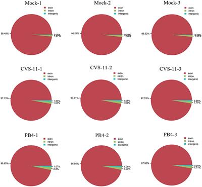 Transcriptome analysis of salivary glands of rabies-virus-infected mice